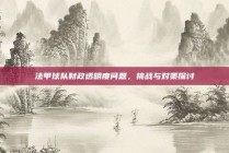 法甲球队财政透明度问题，挑战与对策探讨