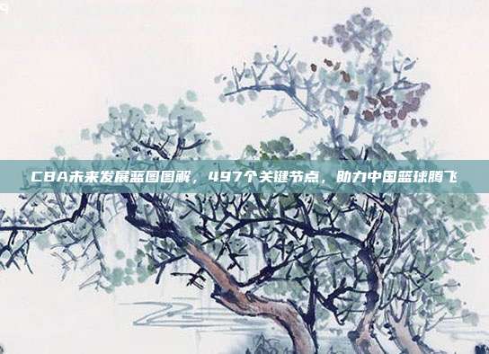 CBA未来发展蓝图图解，497个关键节点，助力中国篮球腾飞  第1张