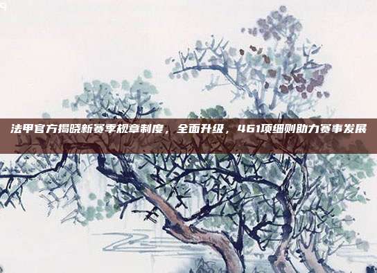 法甲官方揭晓新赛季规章制度，全面升级，461项细则助力赛事发展📜  第1张