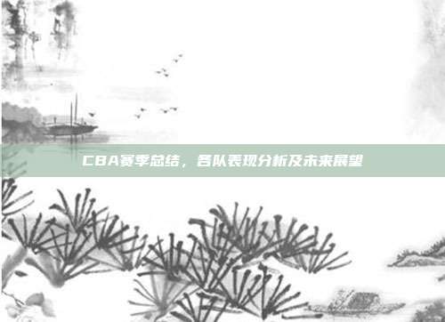 CBA赛季总结，各队表现分析及未来展望  第1张