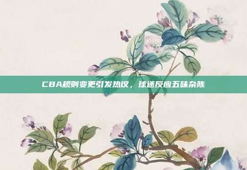 CBA规则变更引发热议，球迷反应五味杂陈  第1张