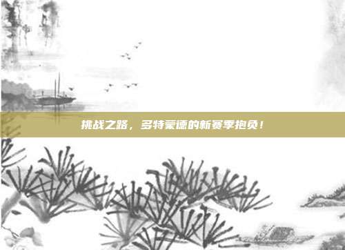 挑战之路，多特蒙德的新赛季抱负！  第1张